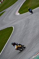 Middle Group Yellow Bikes